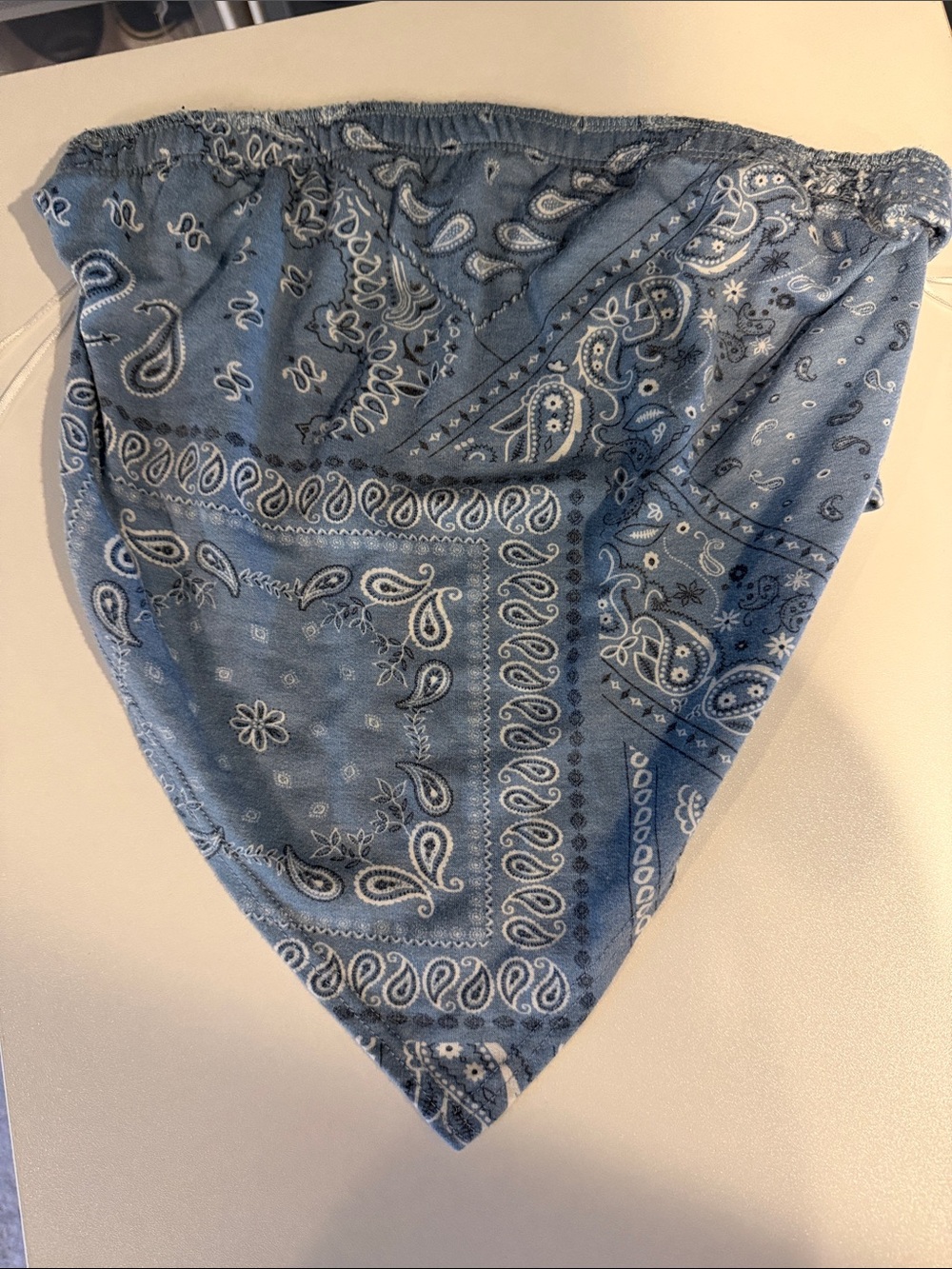 Lovely Day Blue Paisley Bandana top